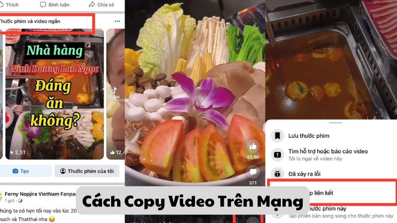 cách copy video trên mạng