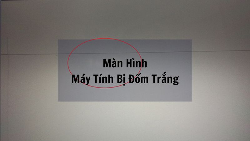 Màn Hình Máy Tính Bị Đốm Trắng