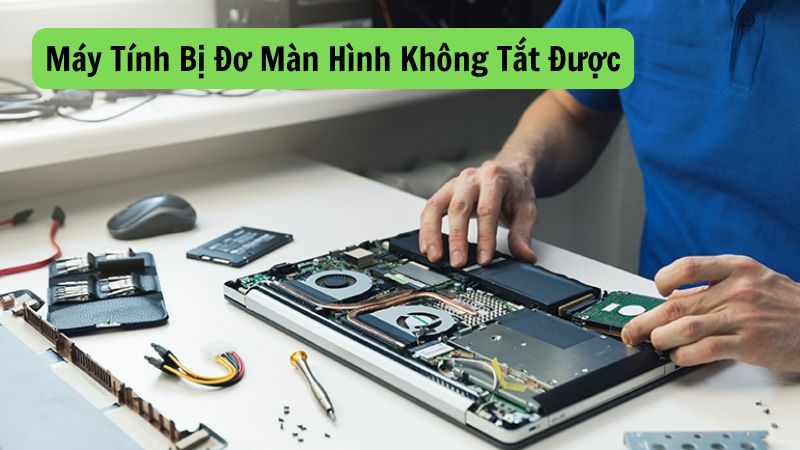 Máy Tính Bị Đơ Màn Hình Không Tắt Được